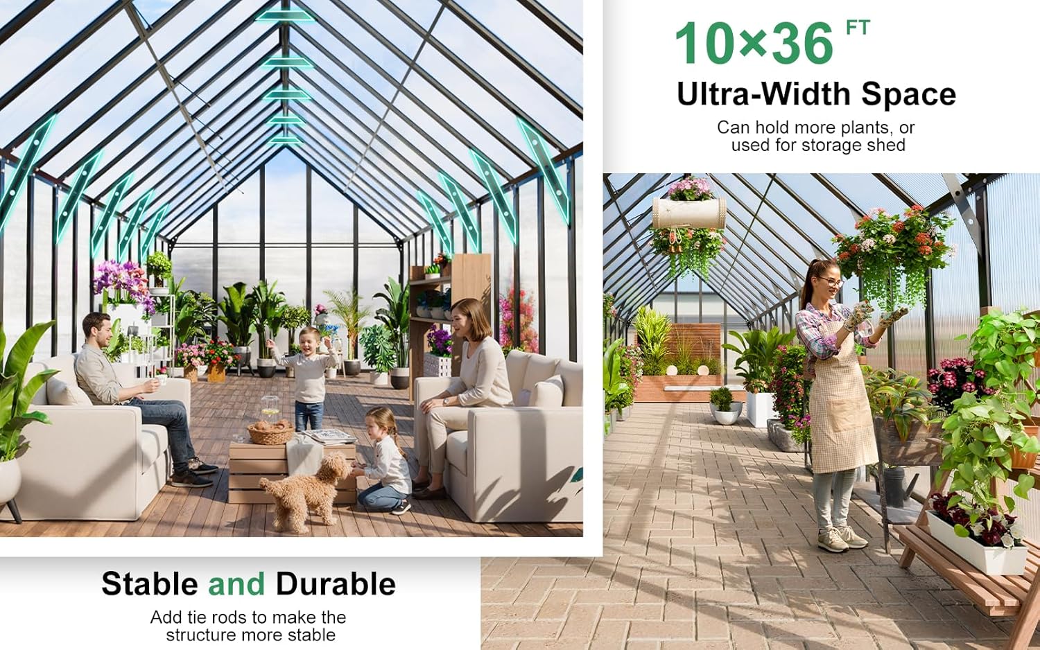 CDCASA 10x36 FT Greenhouse for Outdoors,Large Easy Assembly Thicker Aluminum Polycarbonate Greenhouses w/8 Windows, Double Door, Walk-in Green House for Outside,Patio,Backyard,Garden