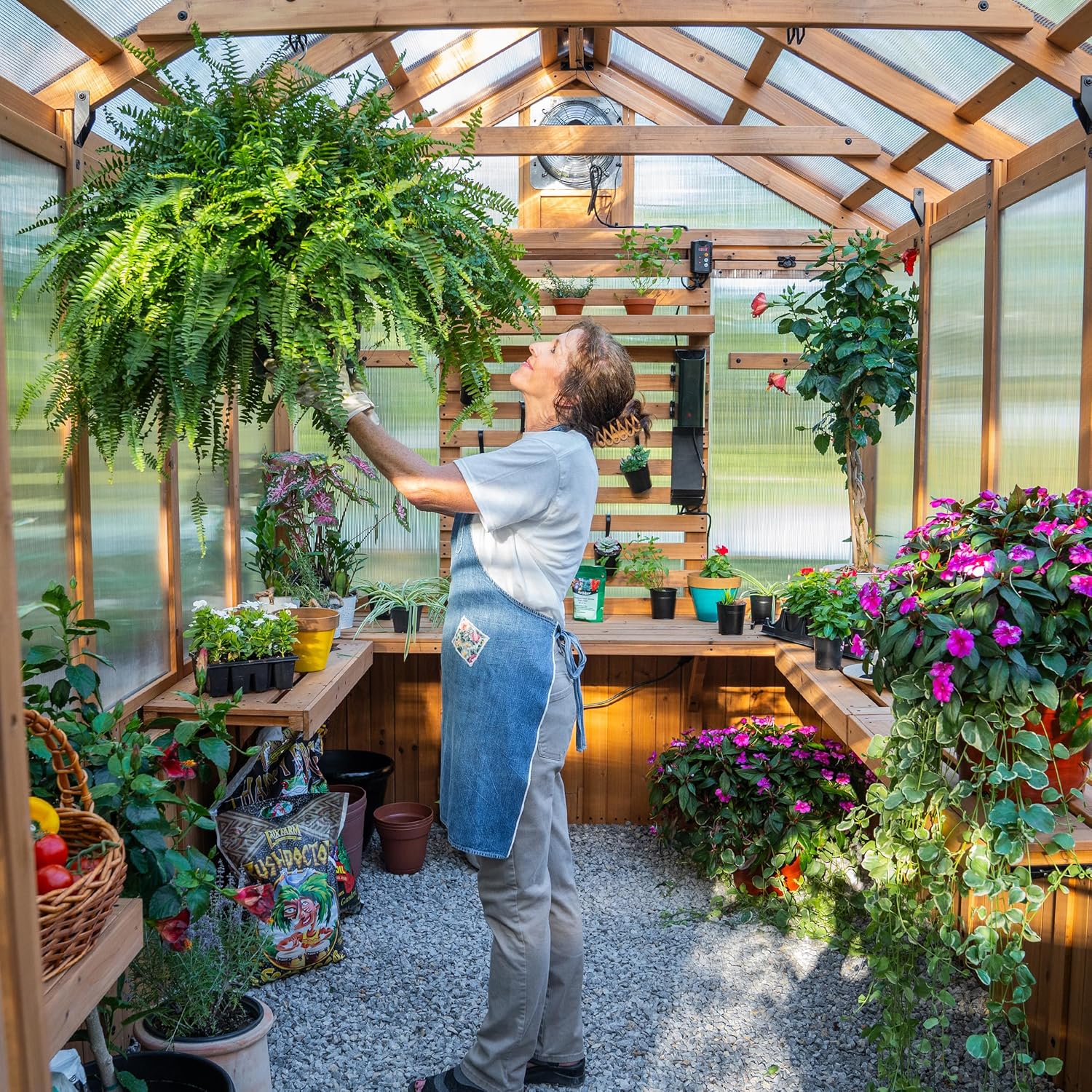 Backyard Discovery Bellerose 11' x 7' Cedar Wood and Polycarbonate Walk-In Greenhouse Kit with Pergola, Exhaust Fan, Windows, Hose Hook-Ups, PowerPort, Staging Shelves for Year-Round Outdoor Gardening